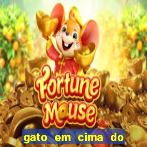 gato em cima do telhado significado espiritual