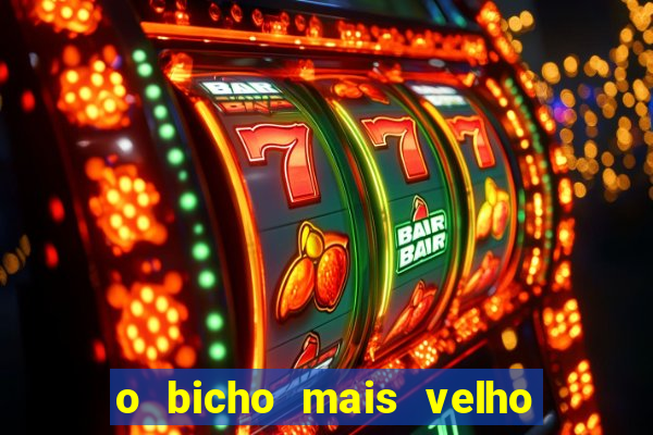 o bicho mais velho da loteria dos sonhos