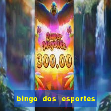 bingo dos esportes para imprimir