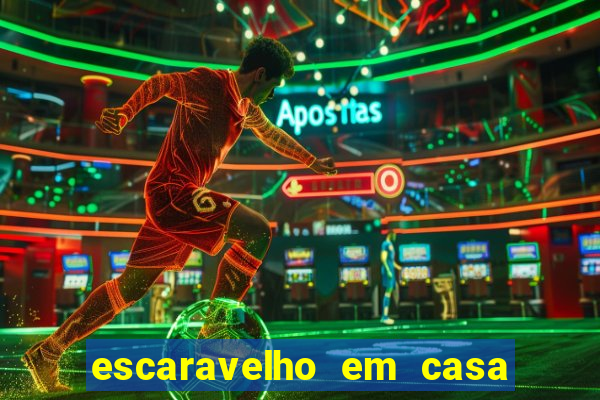 escaravelho em casa significado espiritual