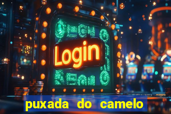 puxada do camelo no jogo do bicho